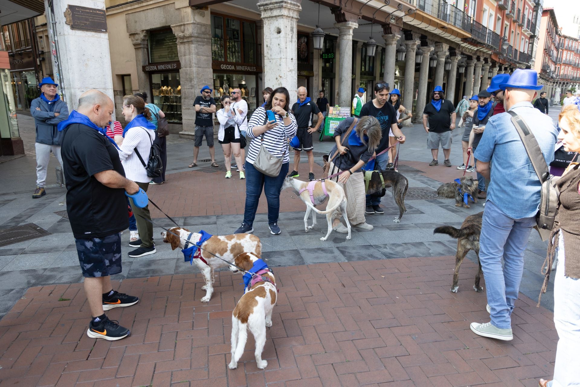 La protesta de los veterinarios, en imágenes