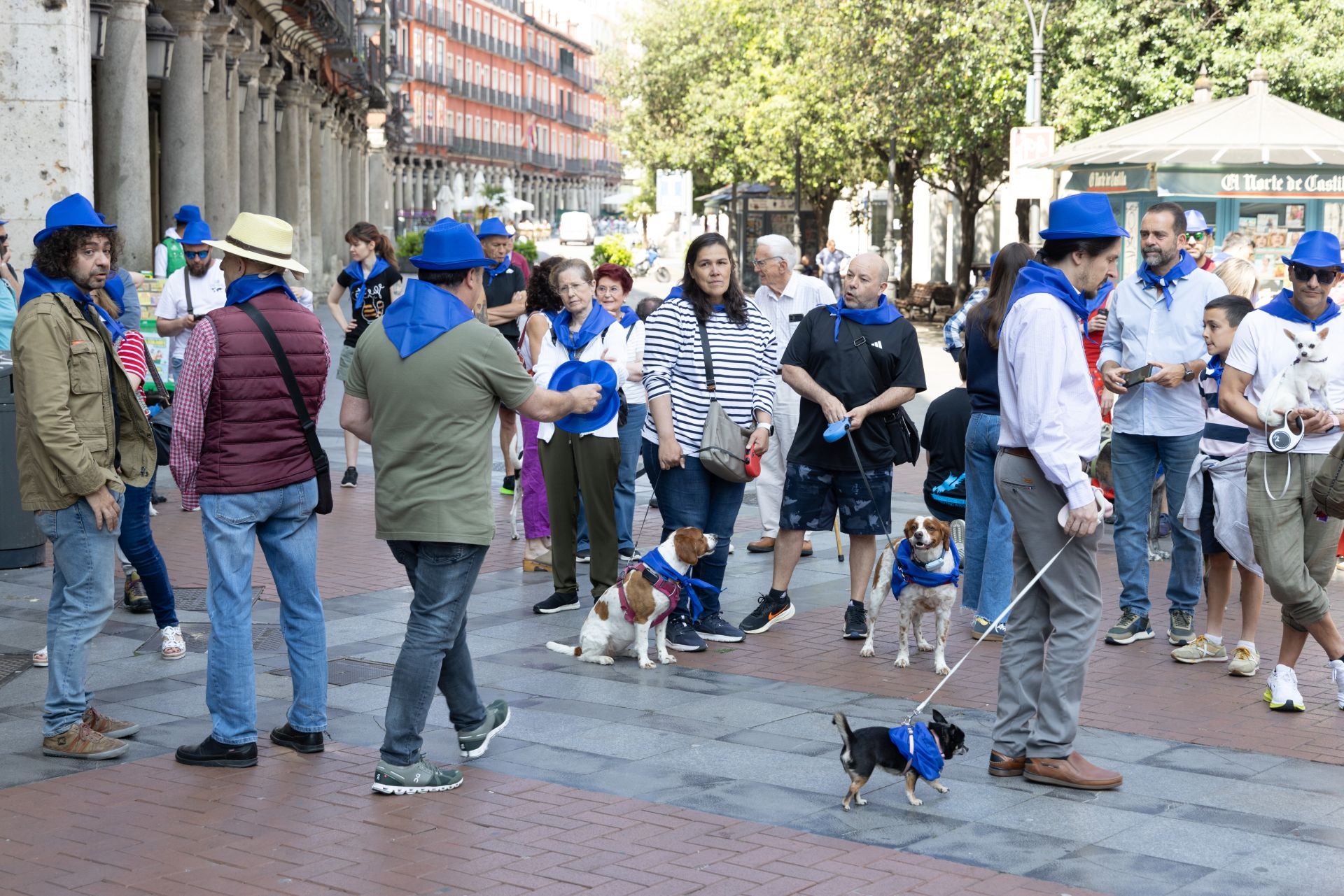 La protesta de los veterinarios, en imágenes