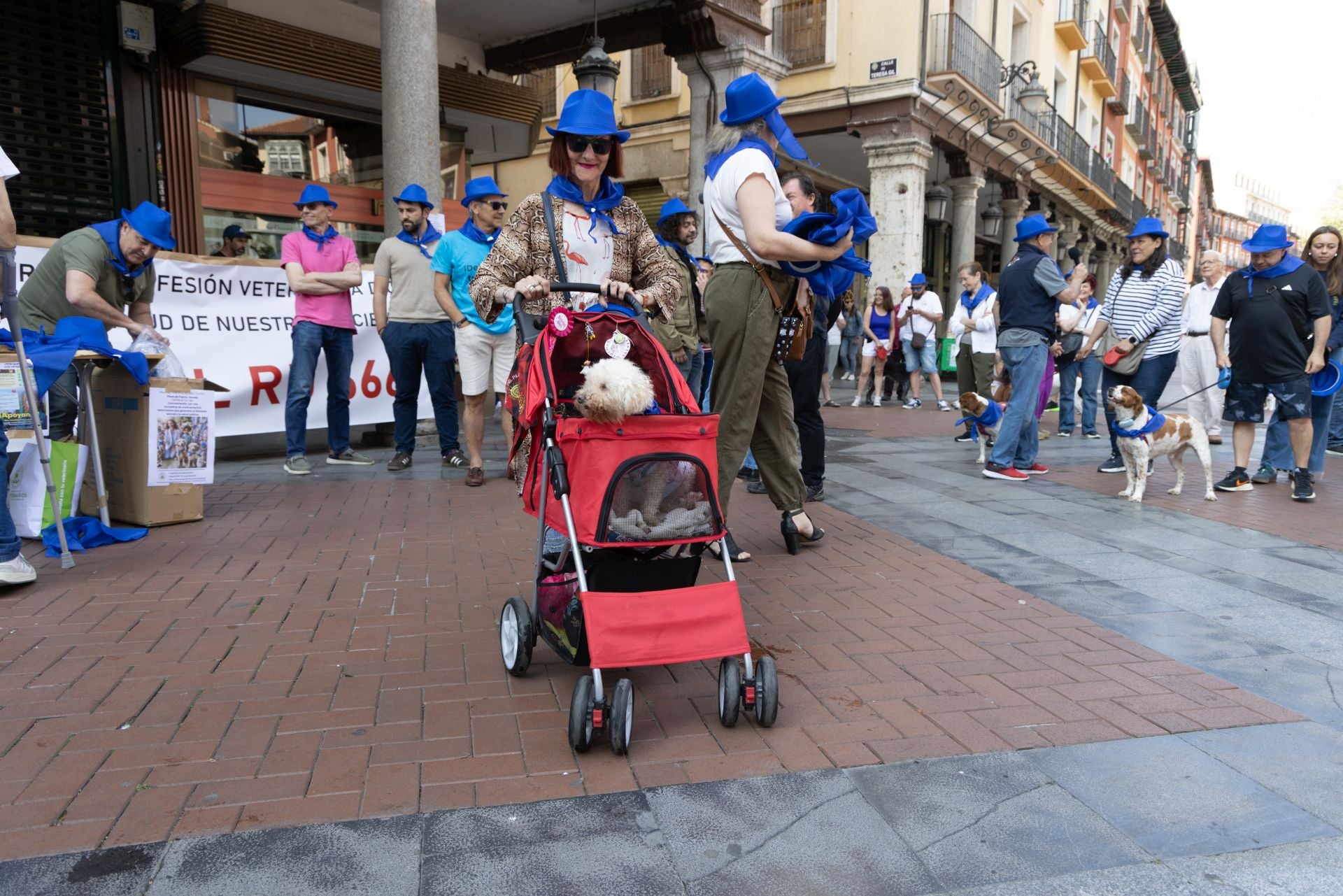 La protesta de los veterinarios, en imágenes