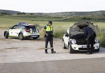 Las carreteras de la provincia registran cuatro accidentes al día provocados por animales