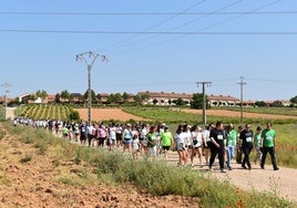 Andarines participantes en la Marcha del Cáncer de Cigales