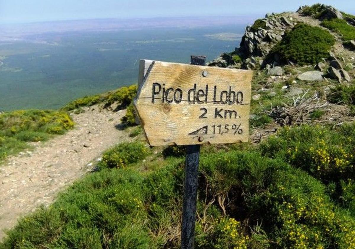 La Pinilla construirá mil cabañas fijas y portátiles en los próximos cinco años