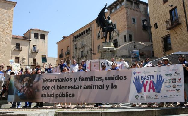La marcha por el centro de Segovia desplegó la pancarta de la reivindicación en la plaza de Medina del Campo.