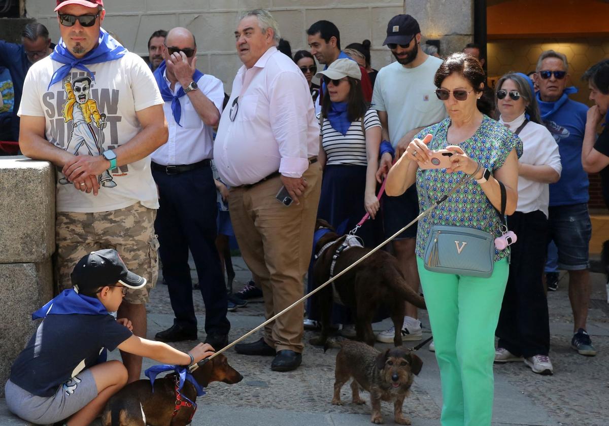 Algunos de los manifestantes de este domingo en la protesta de los veterinarios y familias contra la nueva prescripción de medicamentos.