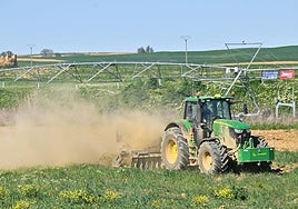 Campo de cultivo, en imagen de archivo.