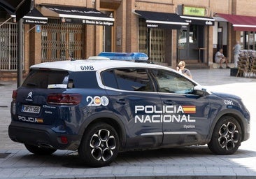 Detenido por un delito de hurto 24 horas tras cometer un robo con fuerza y otro con violencia en Pajarillos