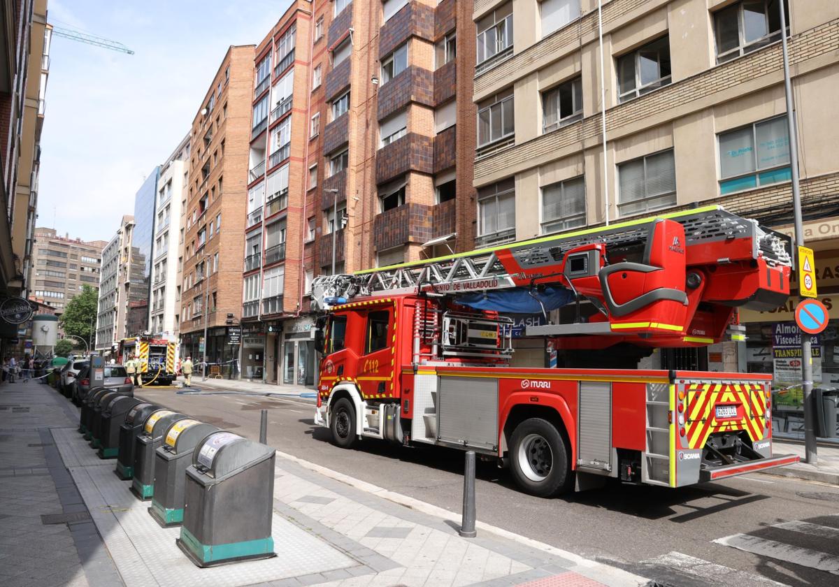 Imagen de Galeria