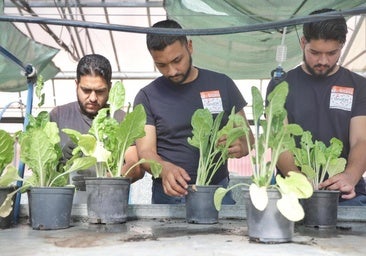 Doce jóvenes gitanos de Valladolid buscan su oportunidad laboral: «Valemos para ello»