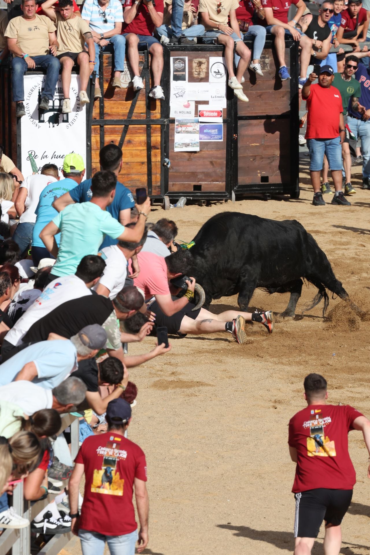 Las imágenes del Congreso Nacional de Toro de Cajón de Medina