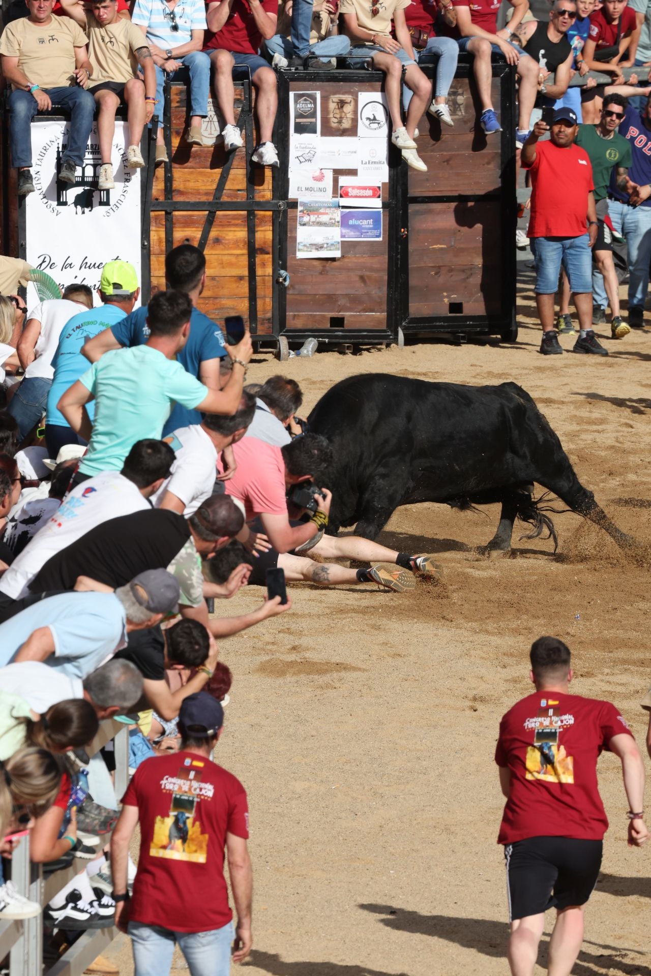 Las imágenes del Congreso Nacional de Toro de Cajón de Medina