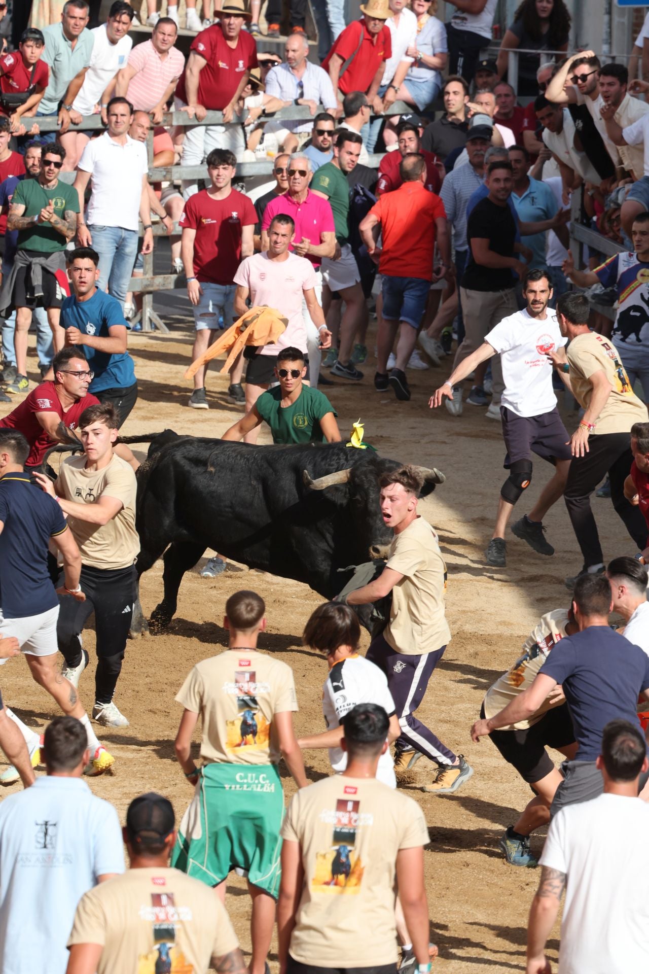 Las imágenes del Congreso Nacional de Toro de Cajón de Medina