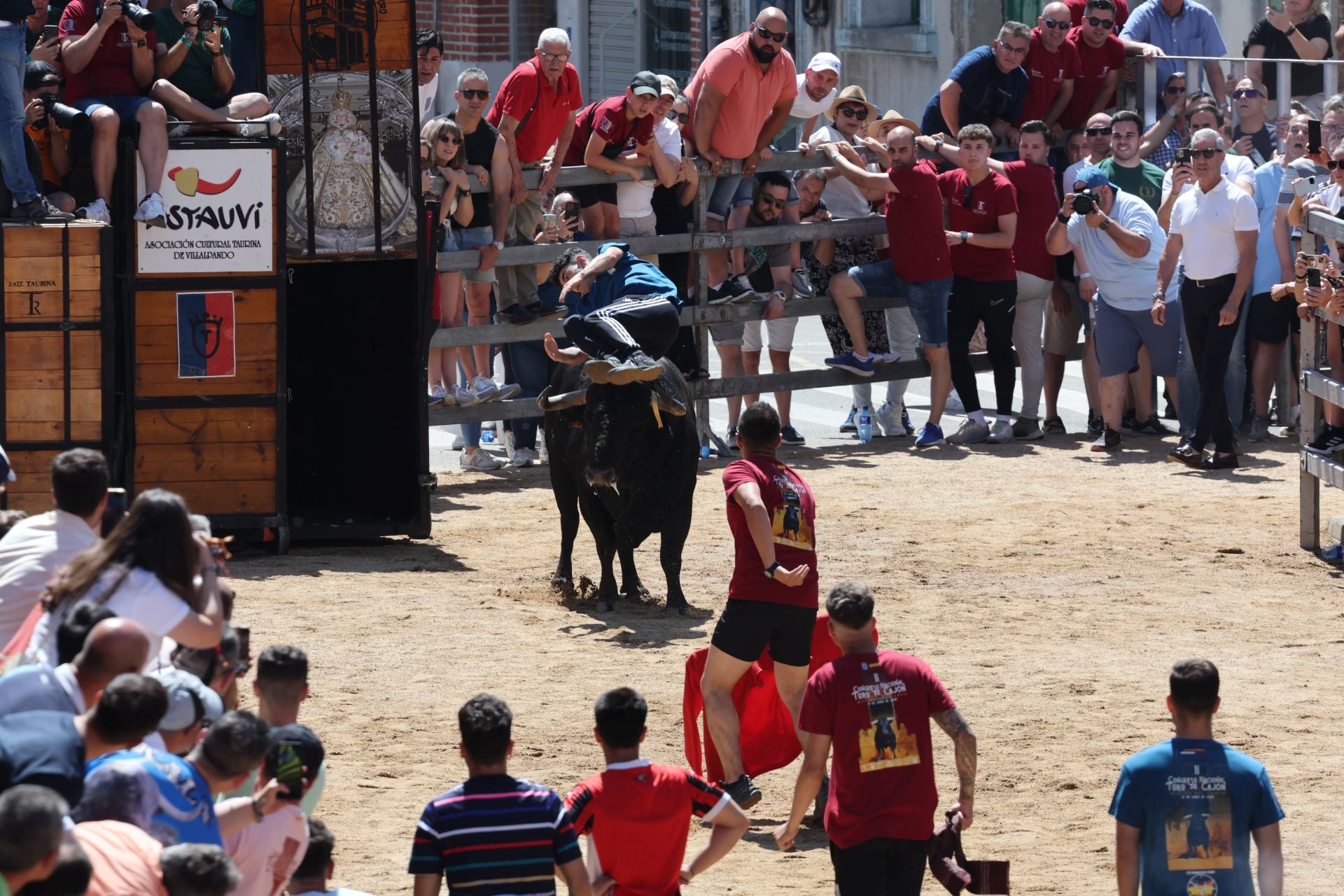 El Congreso Nacional de Toro de Cajón de Medina, en imágenes