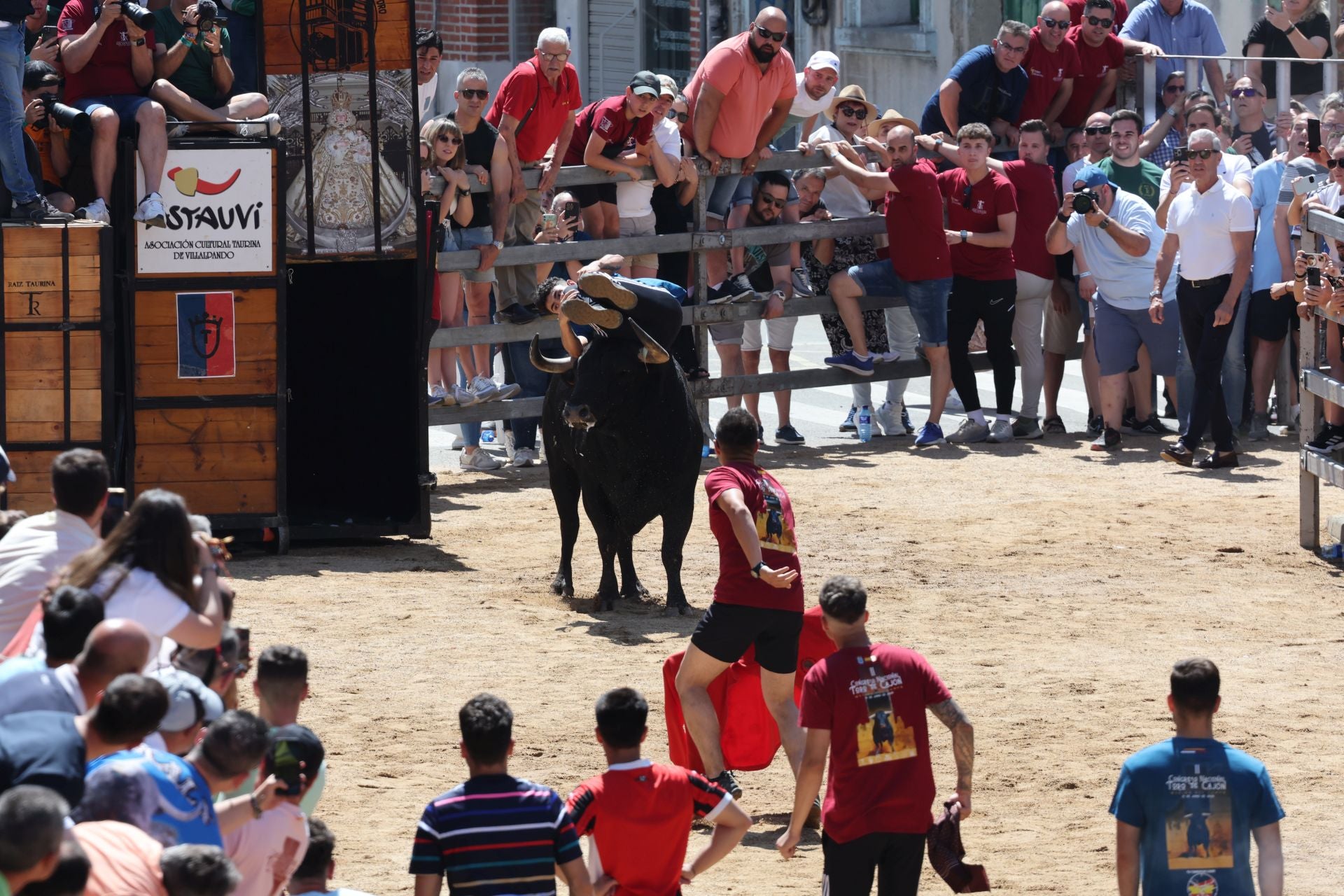 El Congreso Nacional de Toro de Cajón de Medina, en imágenes