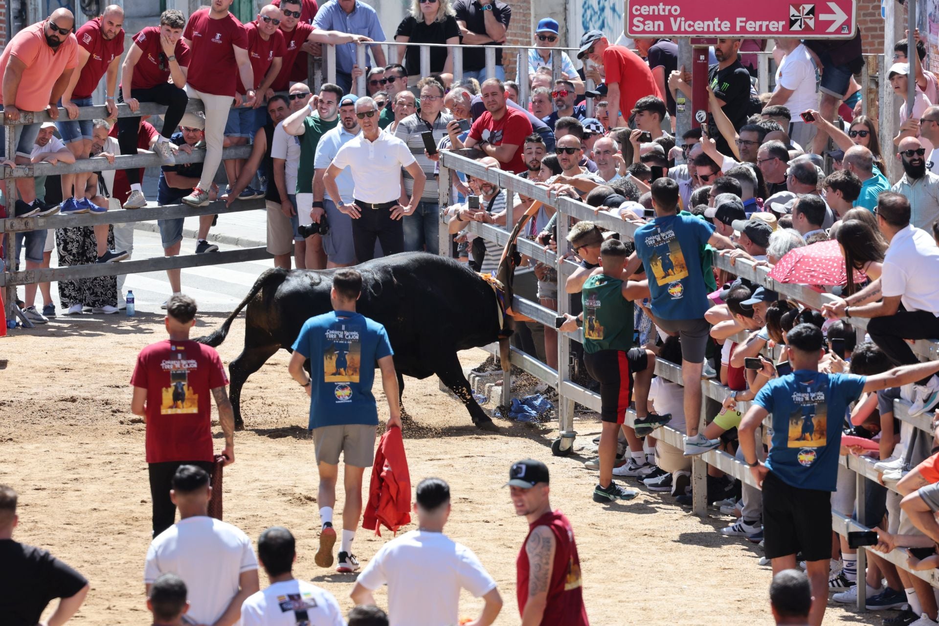El Congreso Nacional de Toro de Cajón de Medina, en imágenes