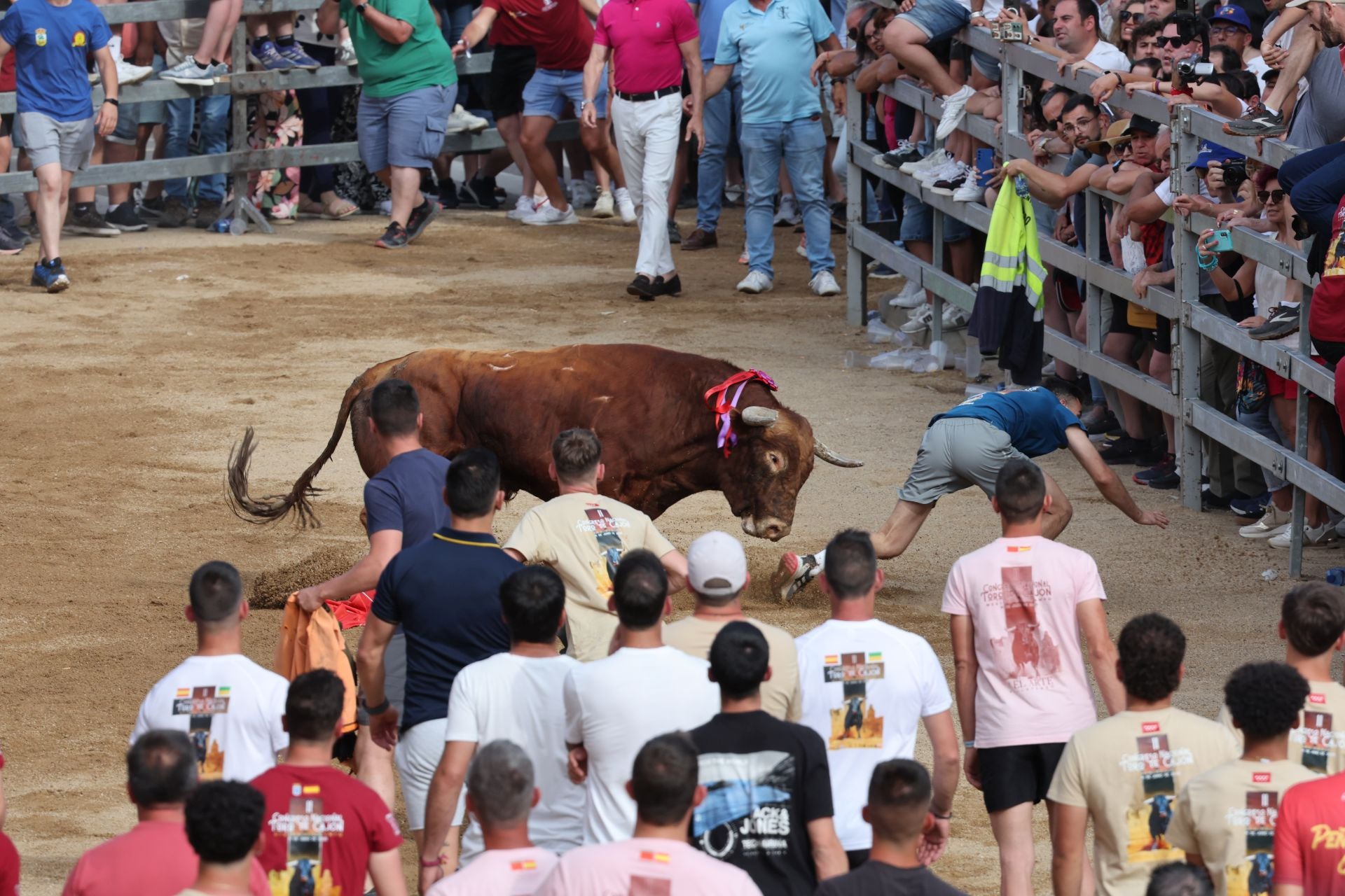 Las imágenes del Congreso Nacional de Toro de Cajón de Medina