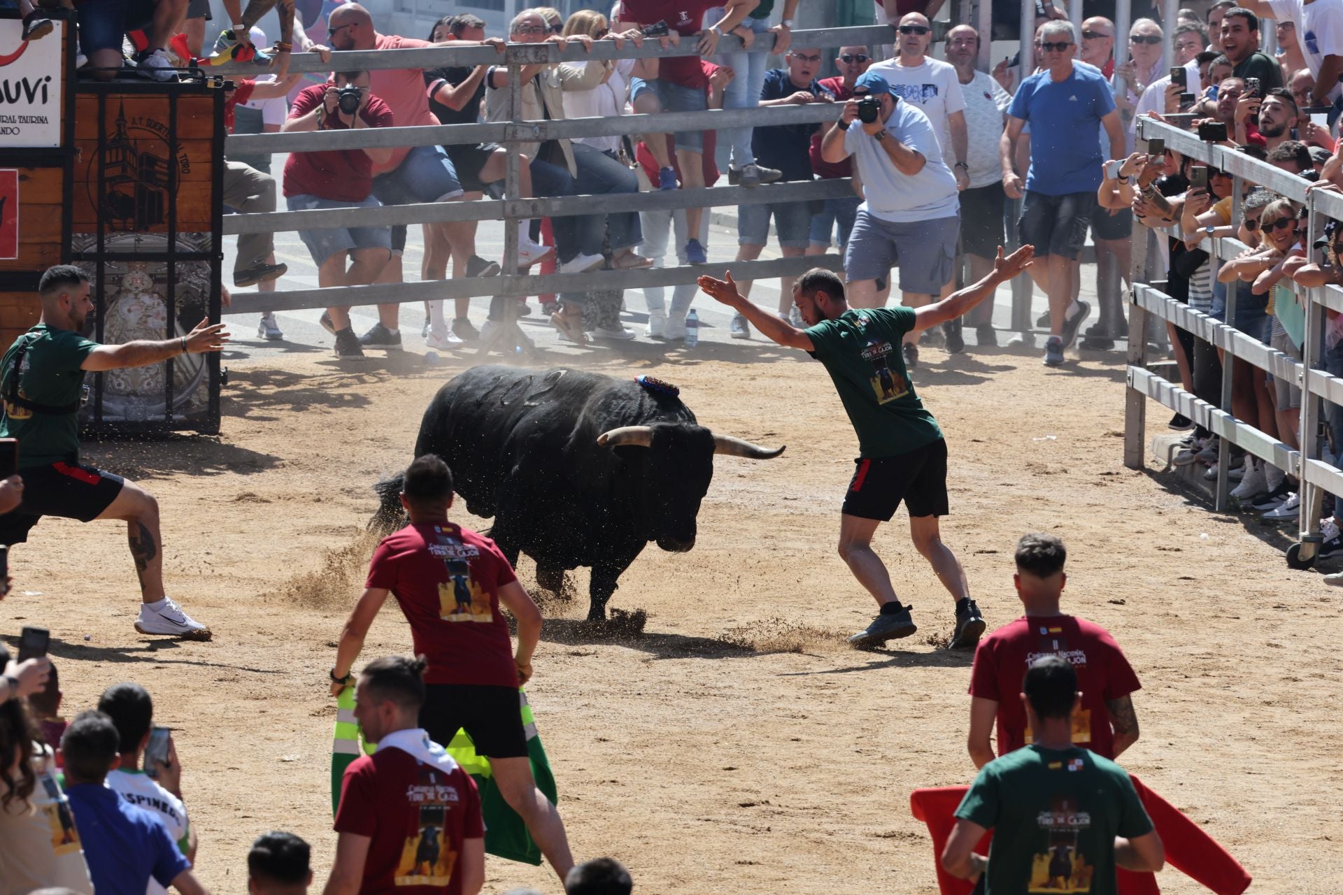 El Congreso Nacional de Toro de Cajón de Medina, en imágenes