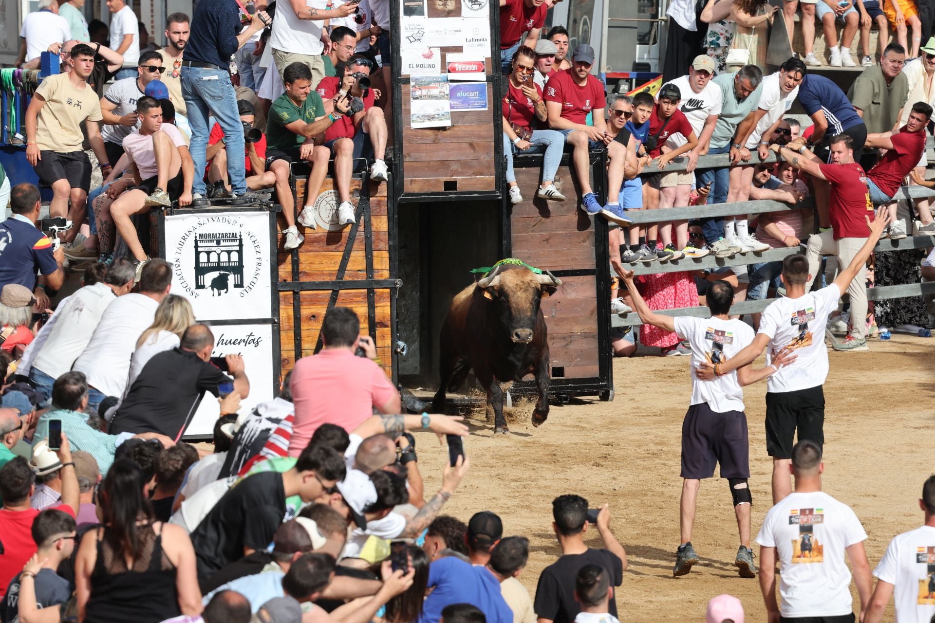 Las imágenes del Congreso Nacional de Toro de Cajón de Medina