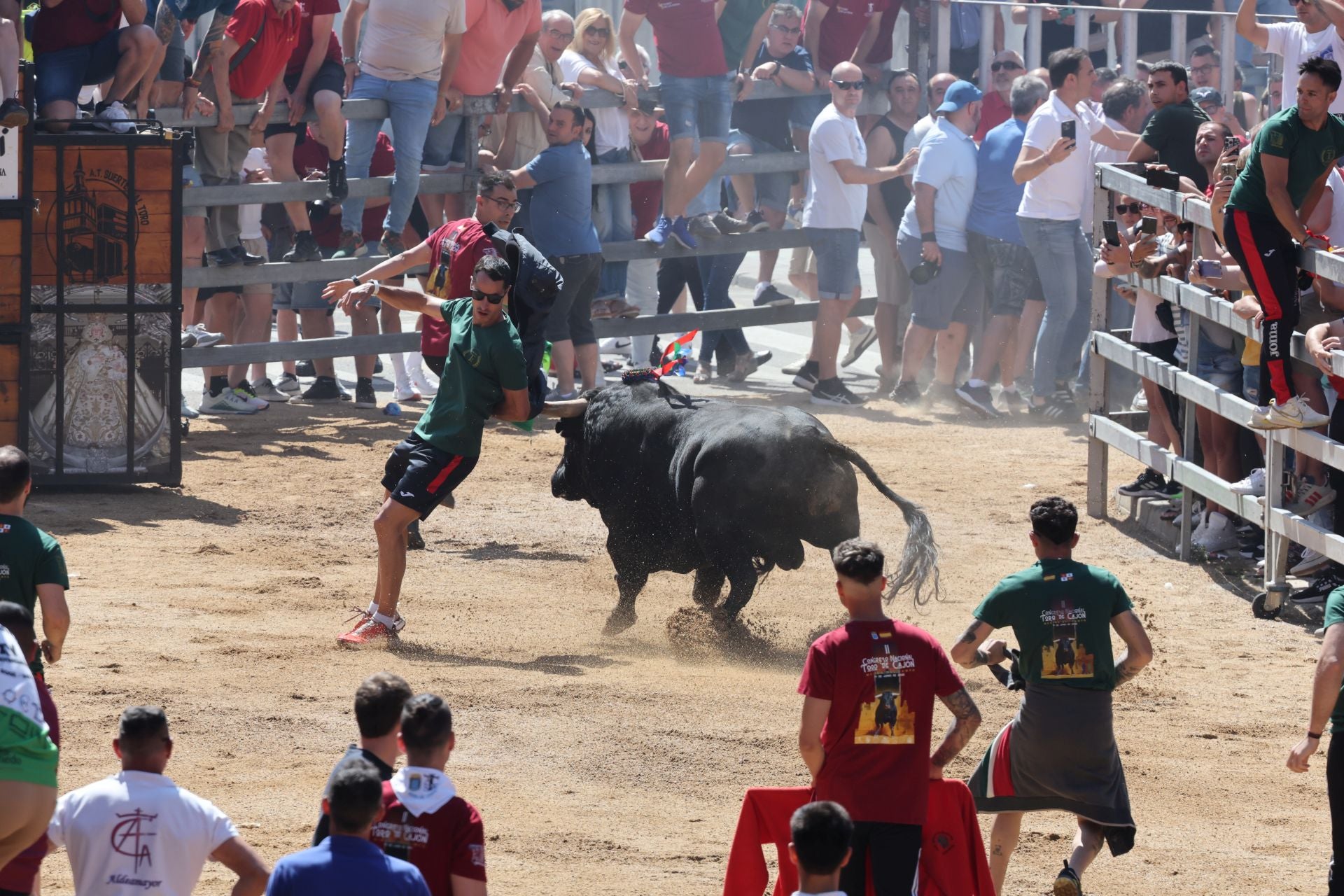 El Congreso Nacional de Toro de Cajón de Medina, en imágenes