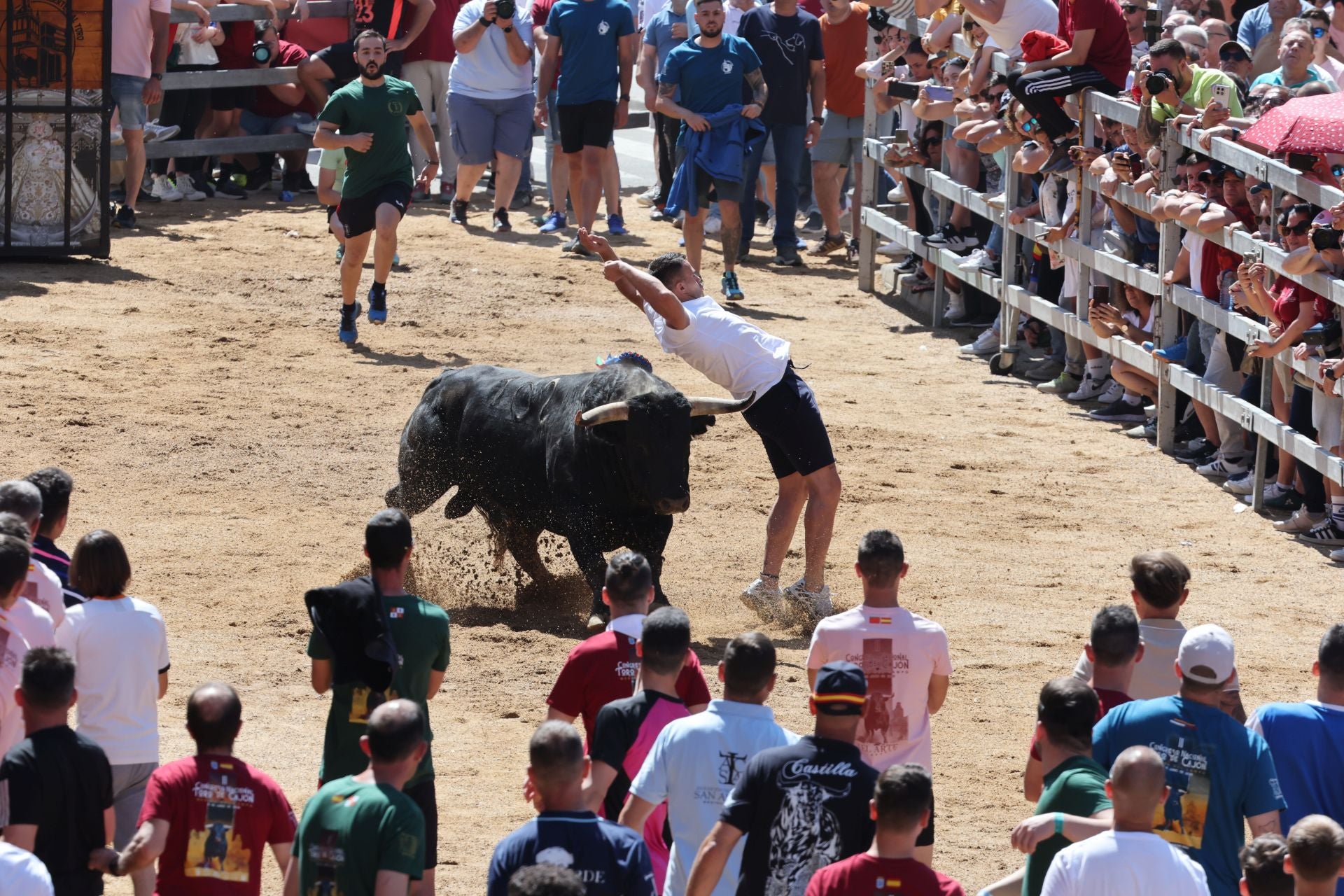 El Congreso Nacional de Toro de Cajón de Medina, en imágenes