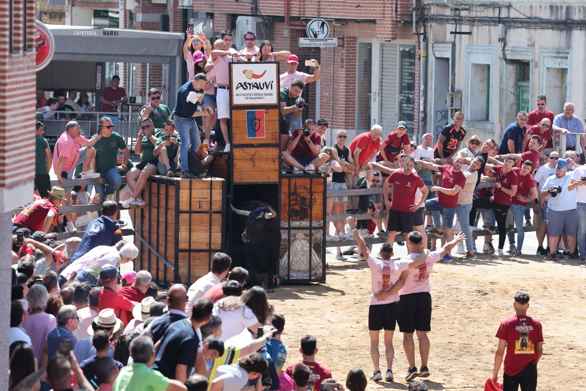 El Congreso Nacional de Toro de Cajón de Medina, en imágenes