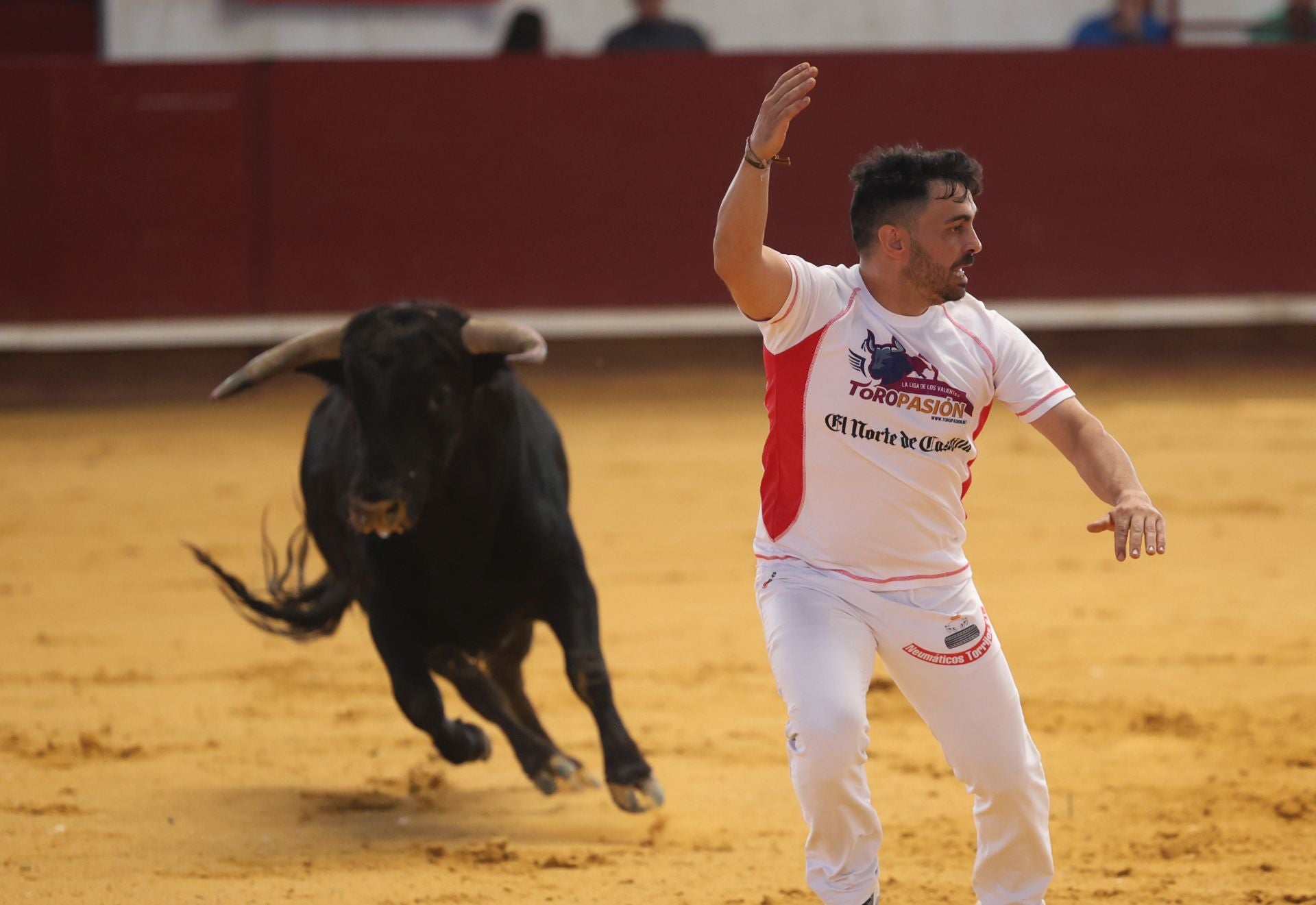 El concurso de cortes de Arroyo, en imágenes