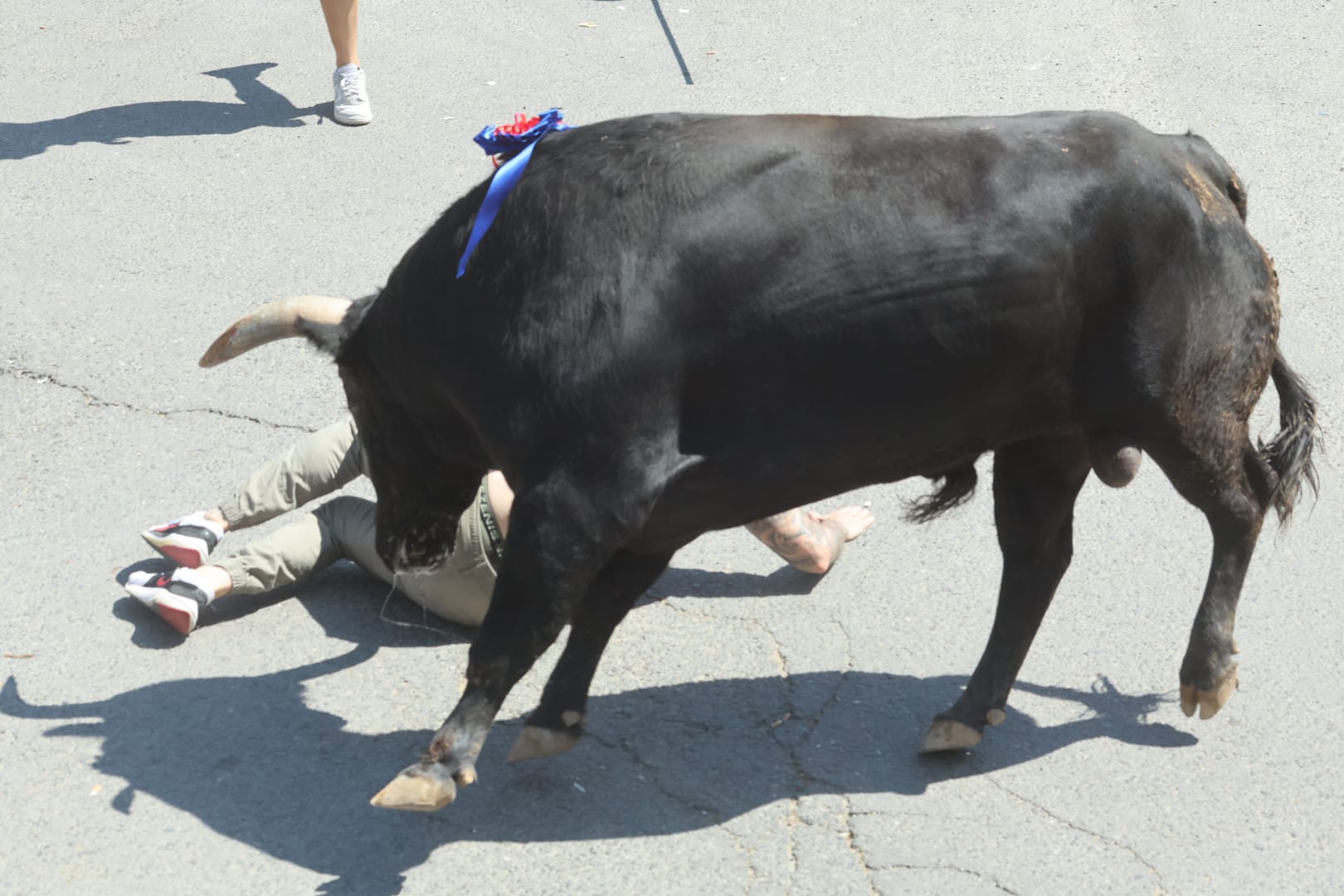 El revolcón en la suelta de Medina del Campo, en imágenes