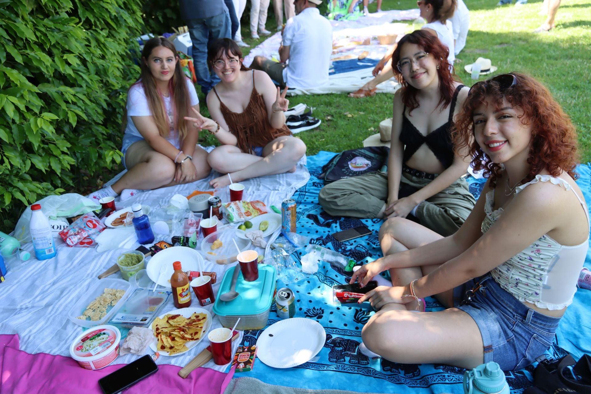Fotografías del Picnic Day en Segovia