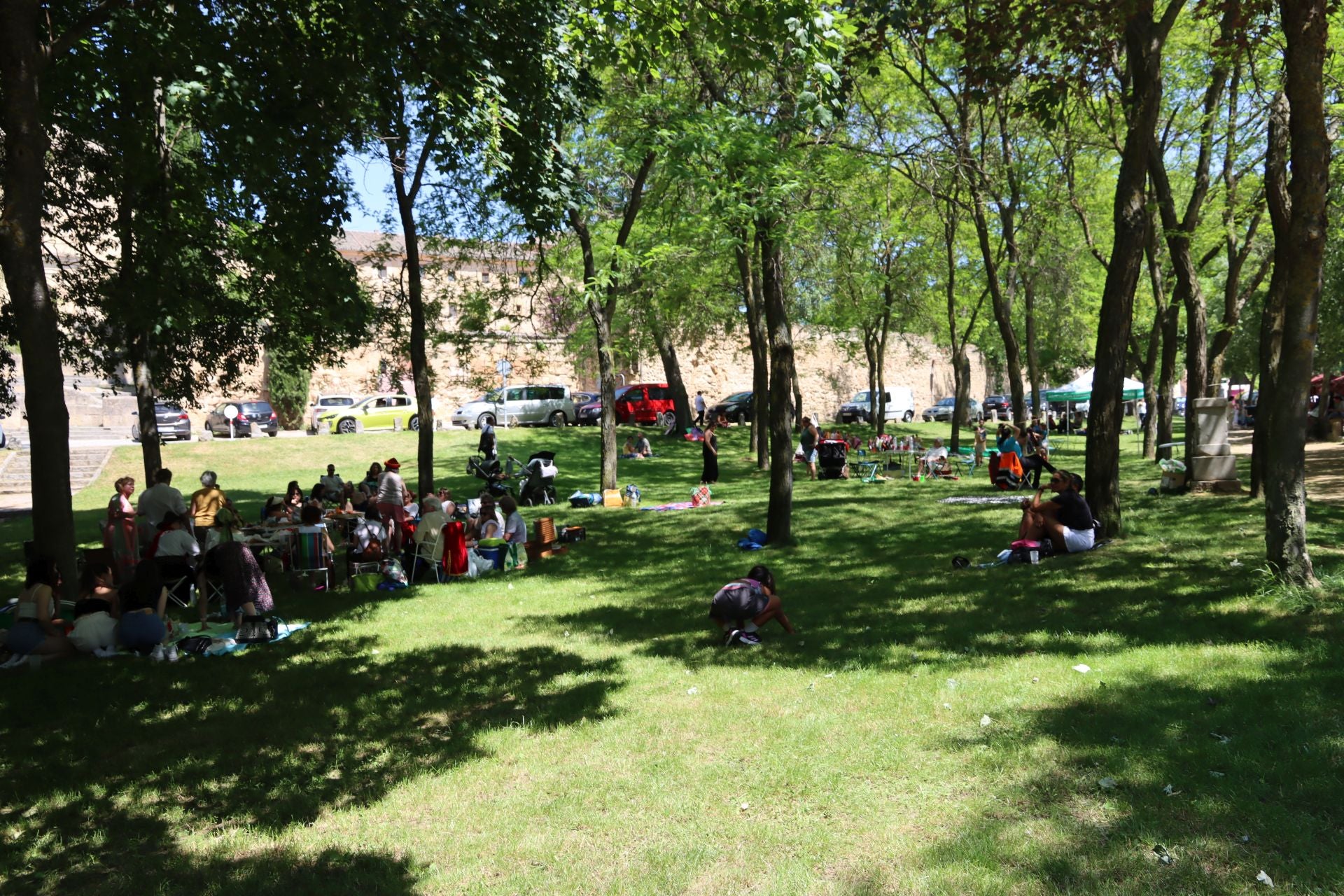 Fotografías del Picnic Day en Segovia