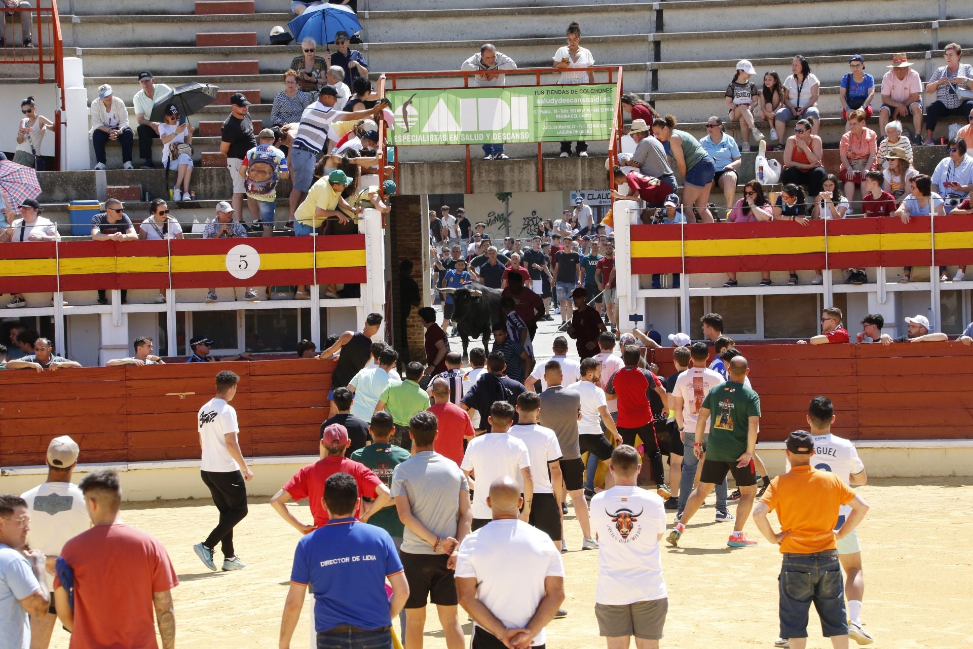 El Congreso Nacional de Toro de Cajón de Medina, en imágenes