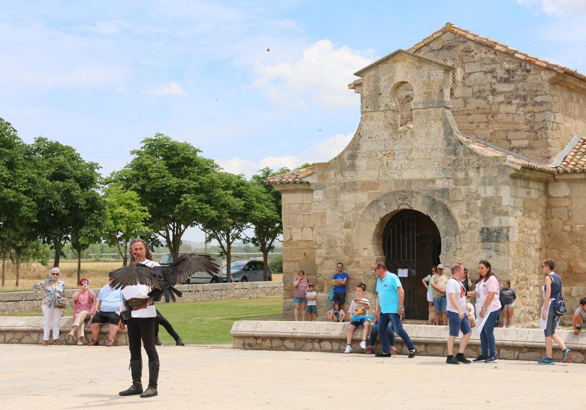 Exhibición de cetrería junto a la basílica de San Juan de Baños.