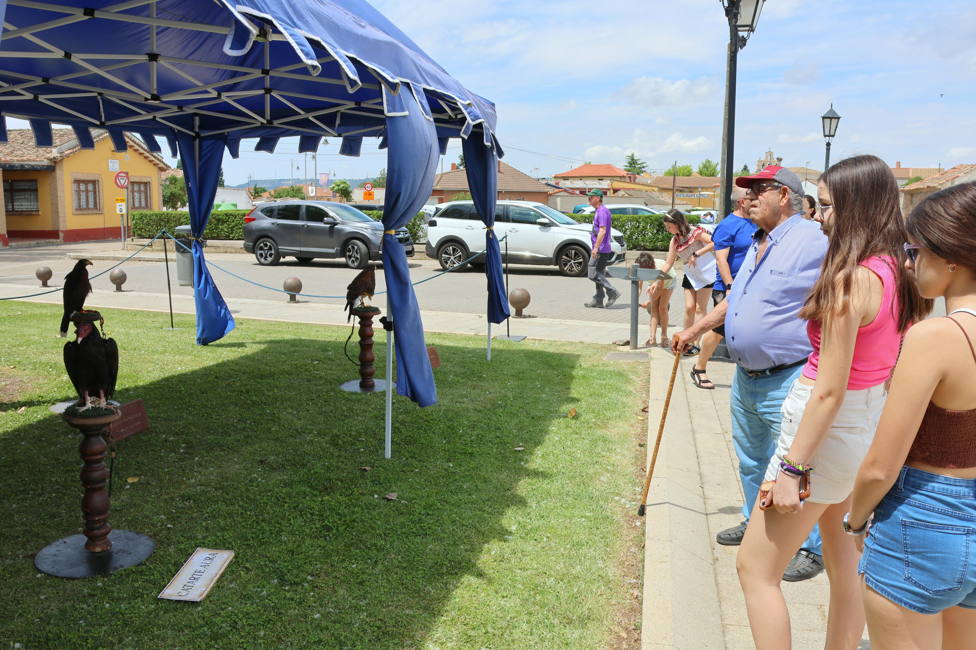 XI Feria Visigoda en Baños de Cerrato