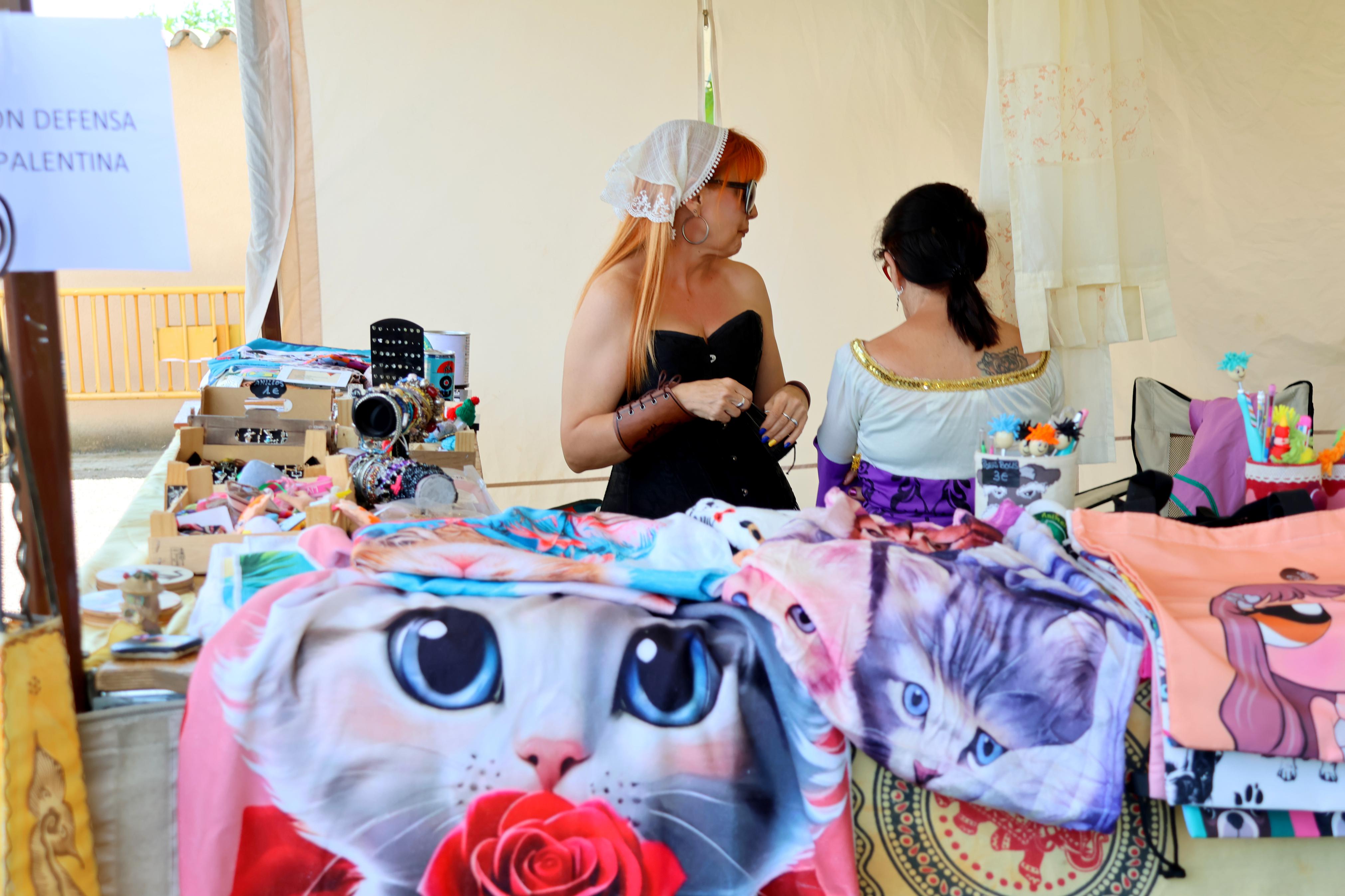 XI Feria Visigoda en Baños de Cerrato