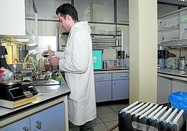 Un técnico analiza muestras de agua en el laboratorio.