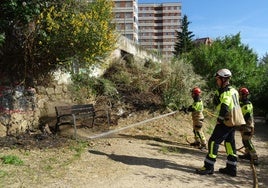 Labores de extinción del incendio en la senda del Palacio de la Ribera.