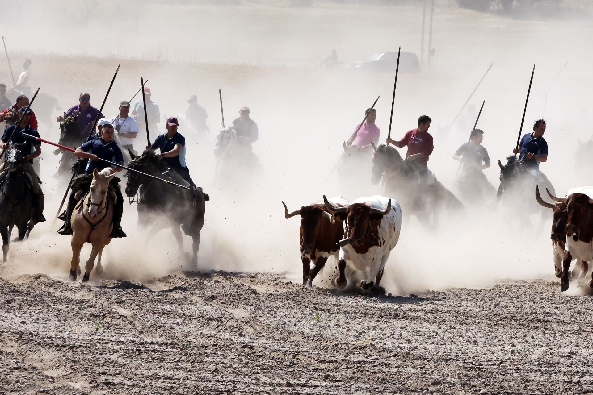 Las imágenes del regreso del encierro campero de Villanueva