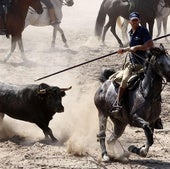 Uno de los momentos del encierro de esta mañana en la localidad vallisoletana.