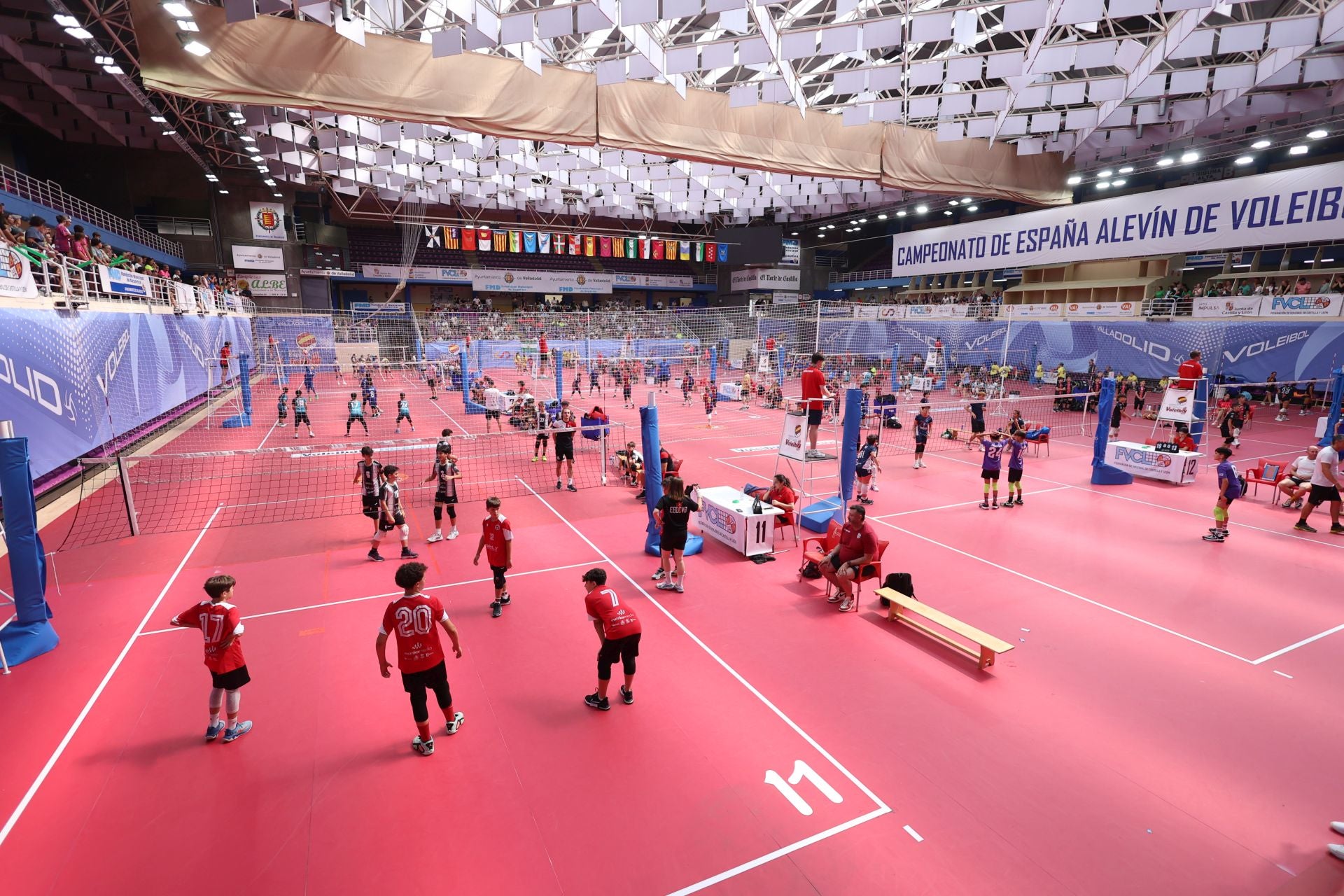 Más de 800 alevines, en el Campeonato de España de Voleibol