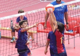 Más de 800 alevines, en el Campeonato de España de Voleibol