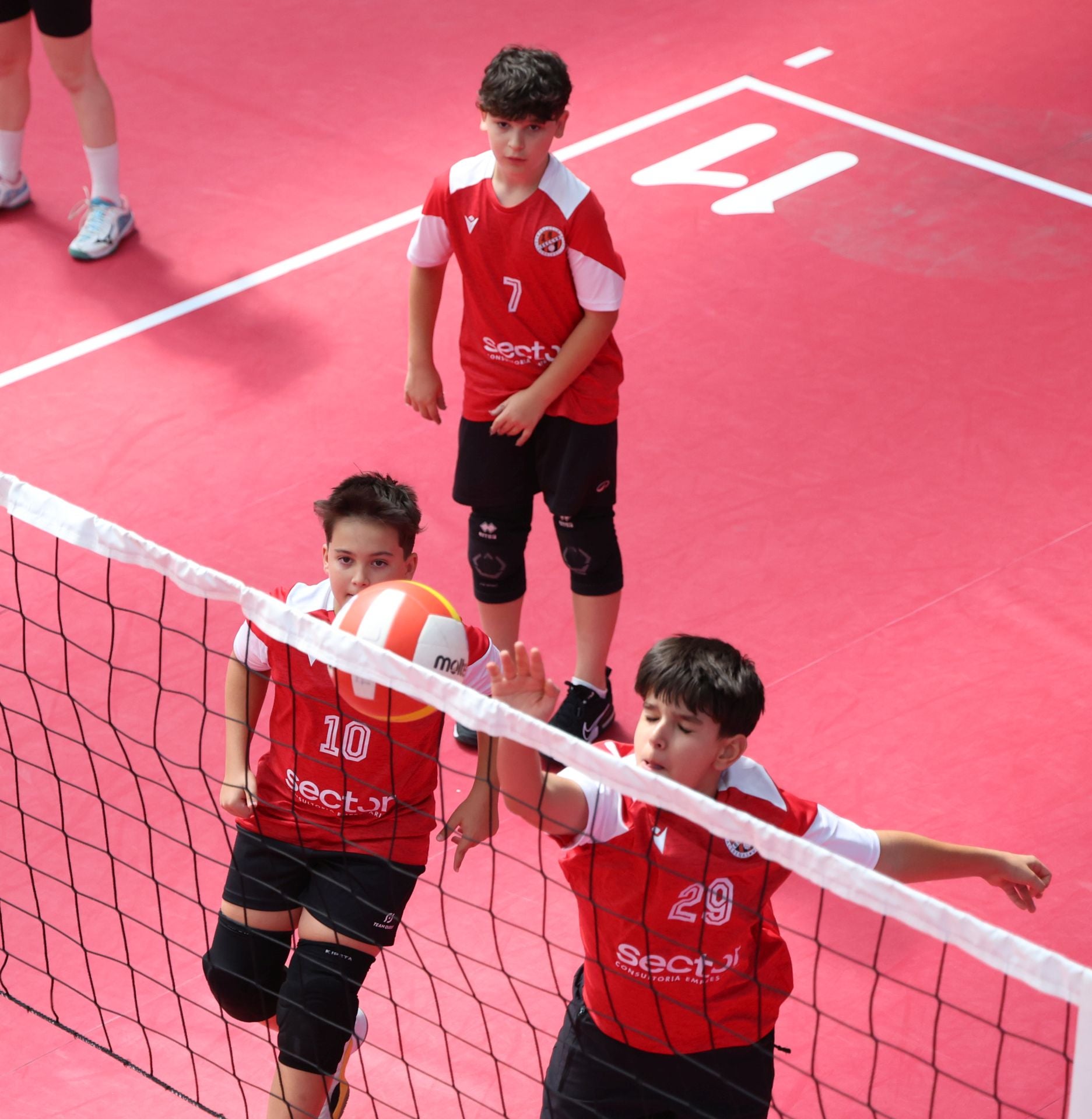 Más de 800 alevines, en el Campeonato de España de Voleibol