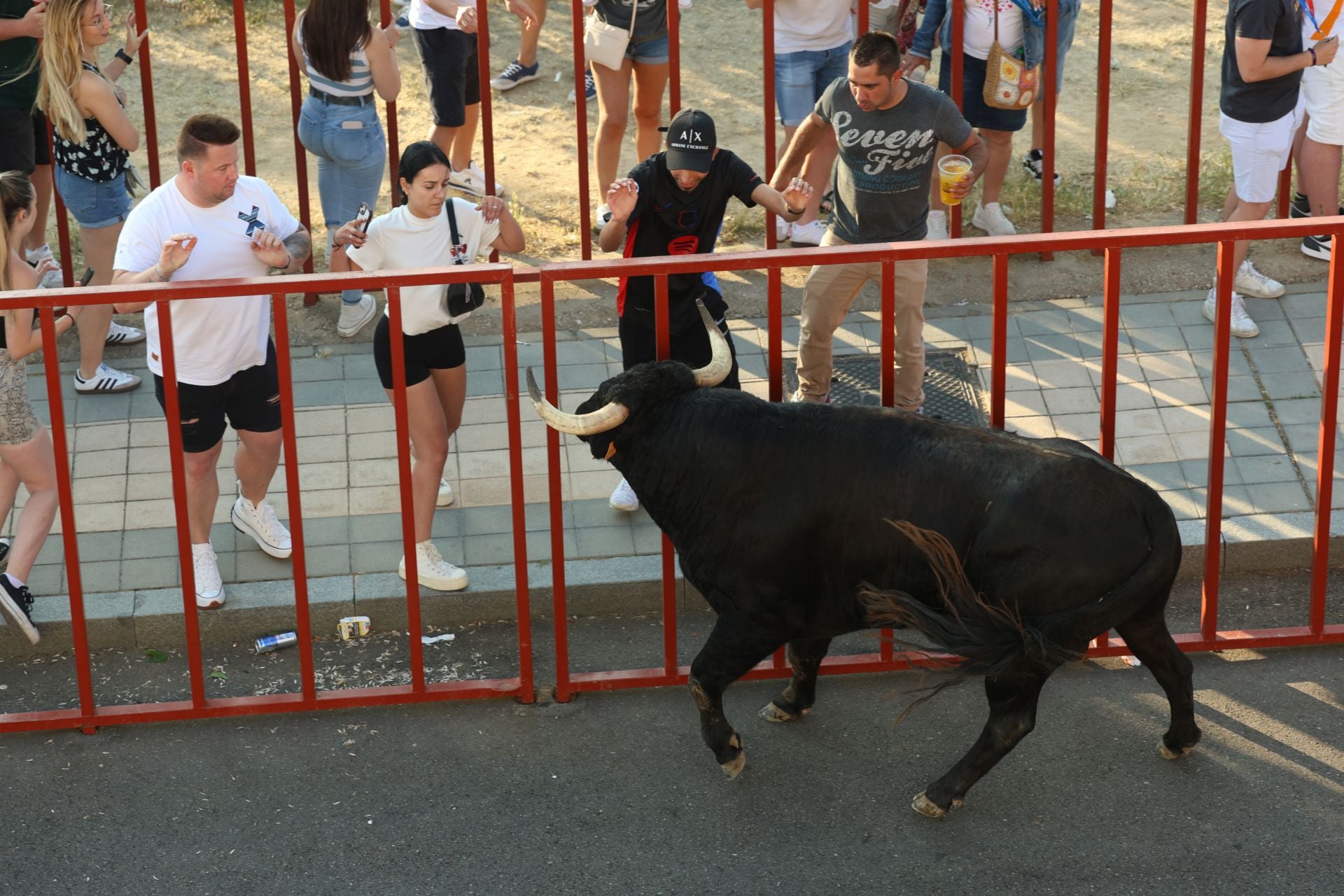 El quinto encierro de Arroyo, en imágenes