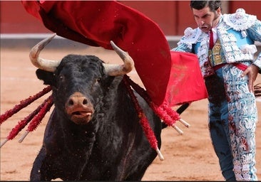Apoteosis de Morante en Salamanca