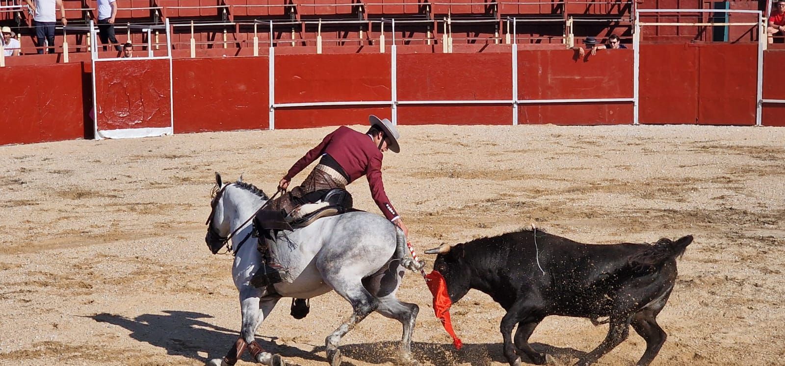 Festival taurino en Guardo