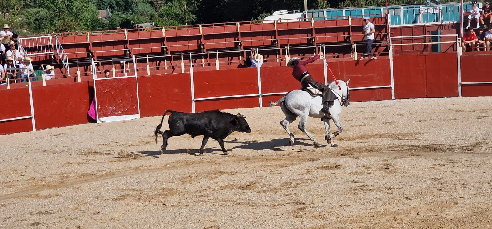 Festival taurino en Guardo