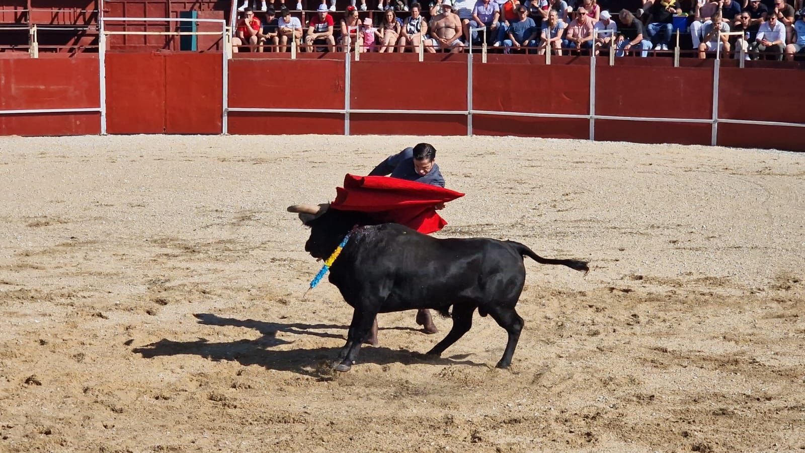 Festival taurino en Guardo