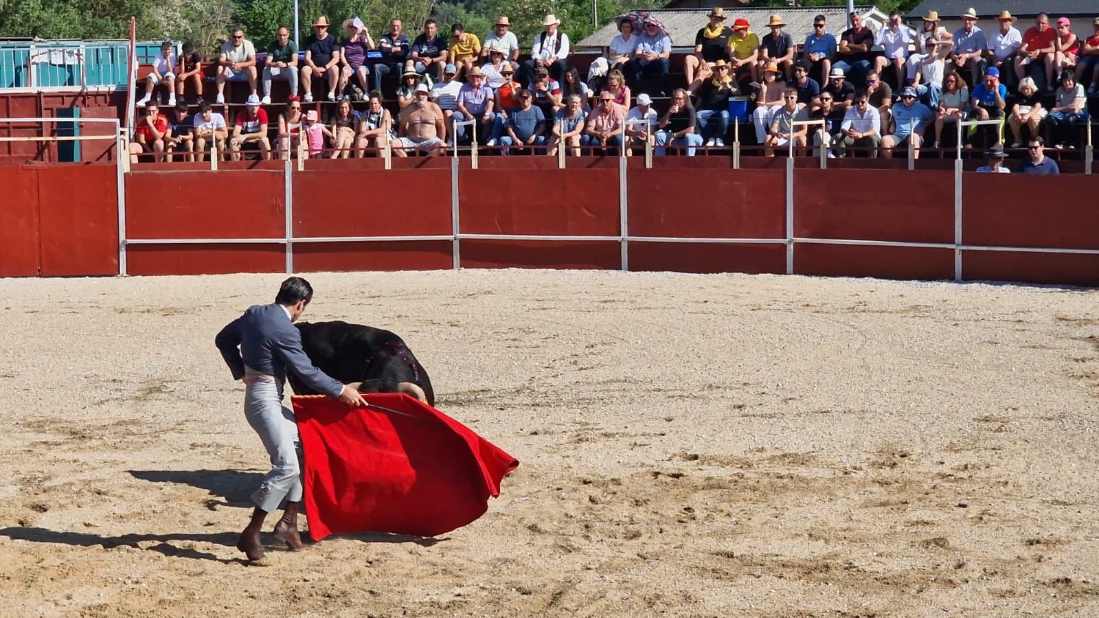 Festival taurino en Guardo
