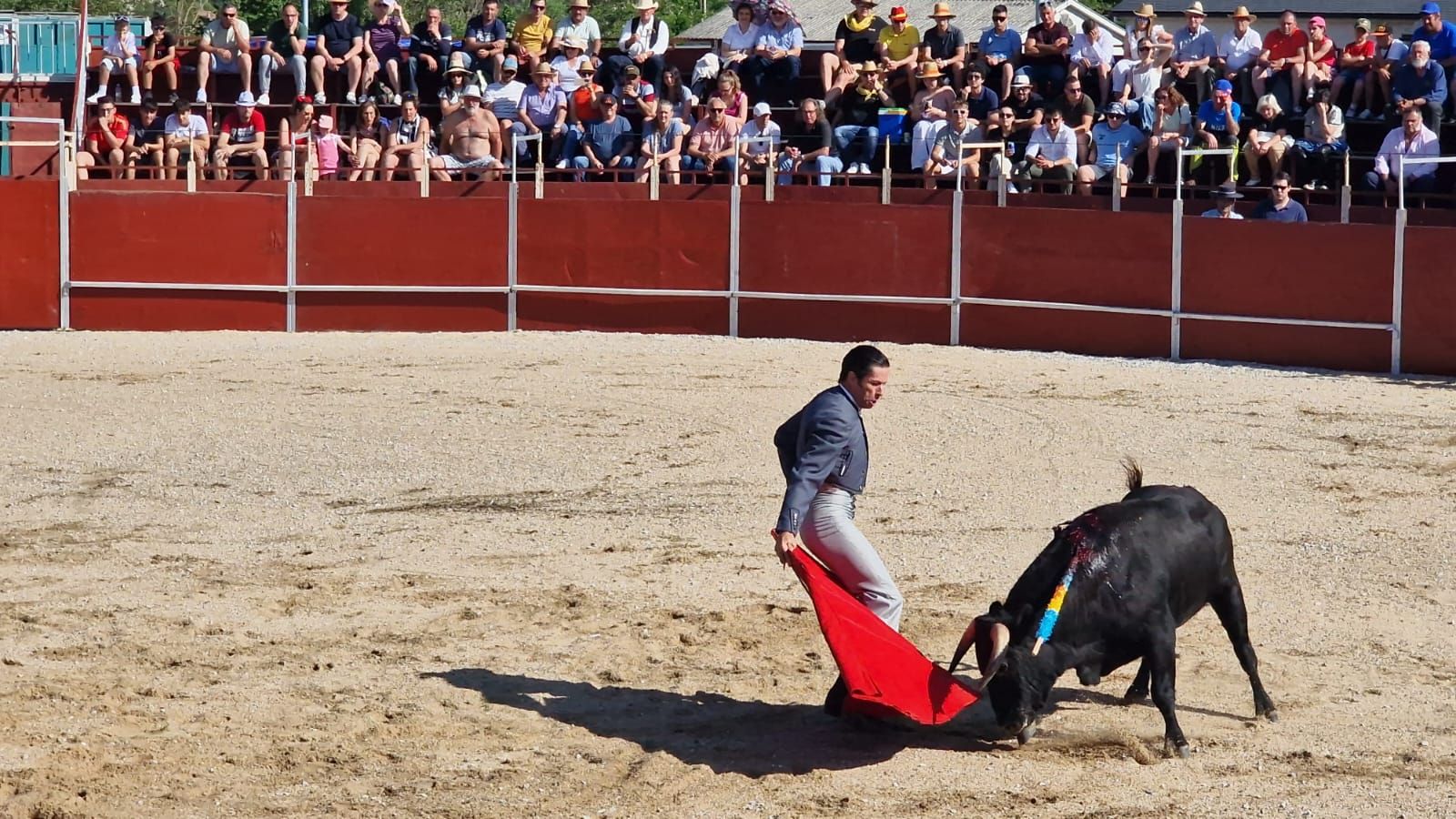 Festival taurino en Guardo