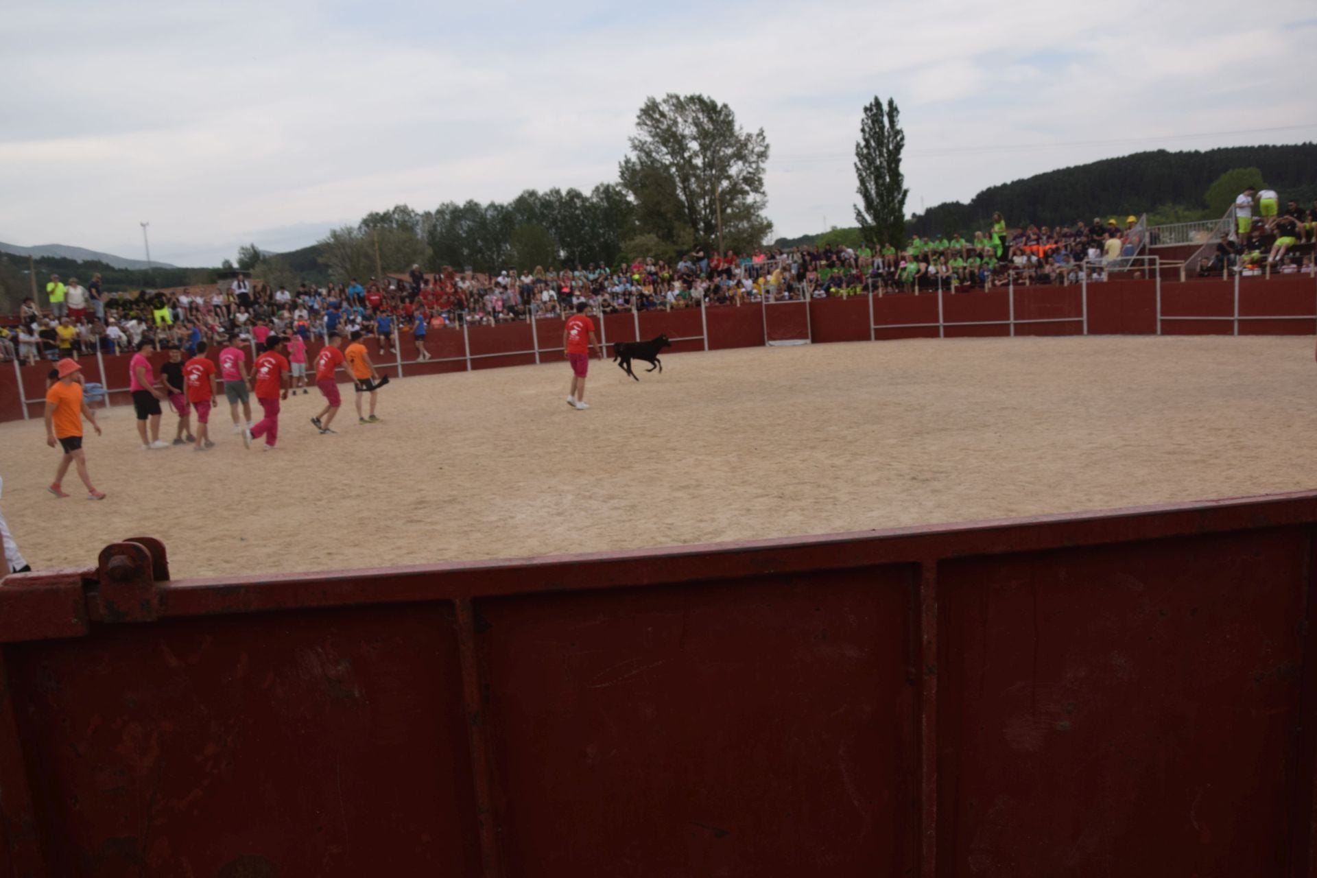 Festival taurino en Guardo