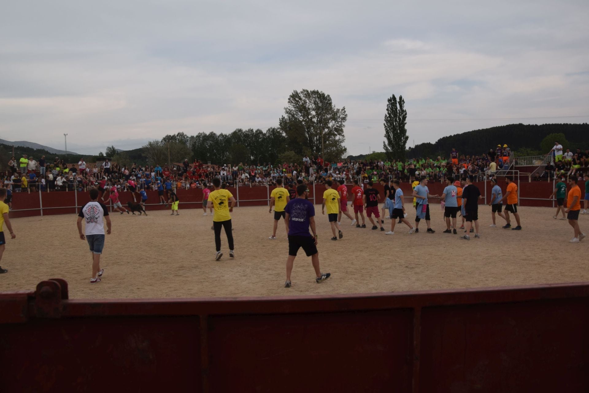 Festival taurino en Guardo