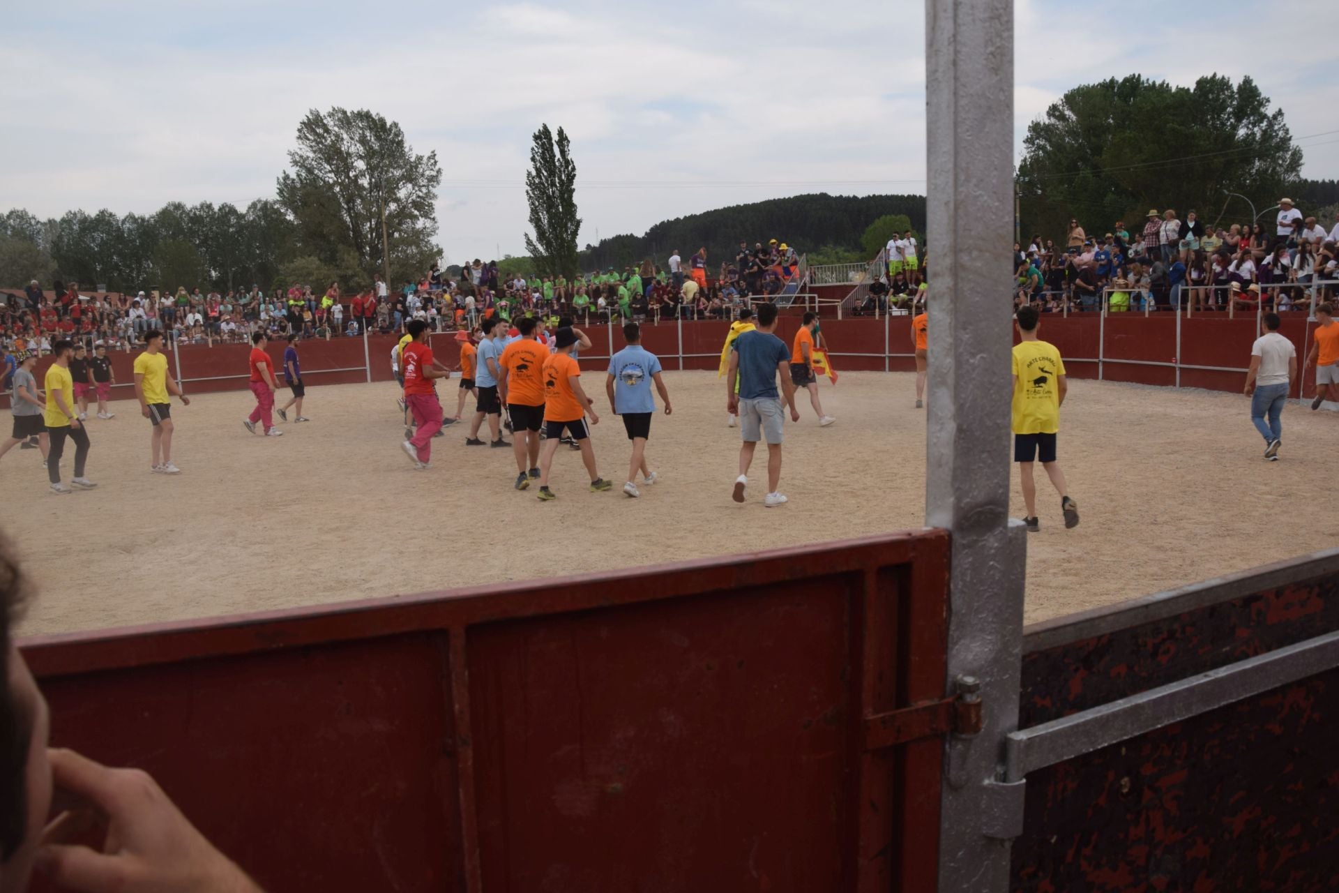 Festival taurino en Guardo
