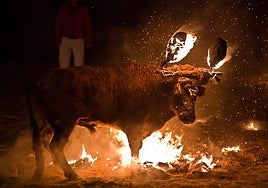 Toro Jubilo de Medinaceli.